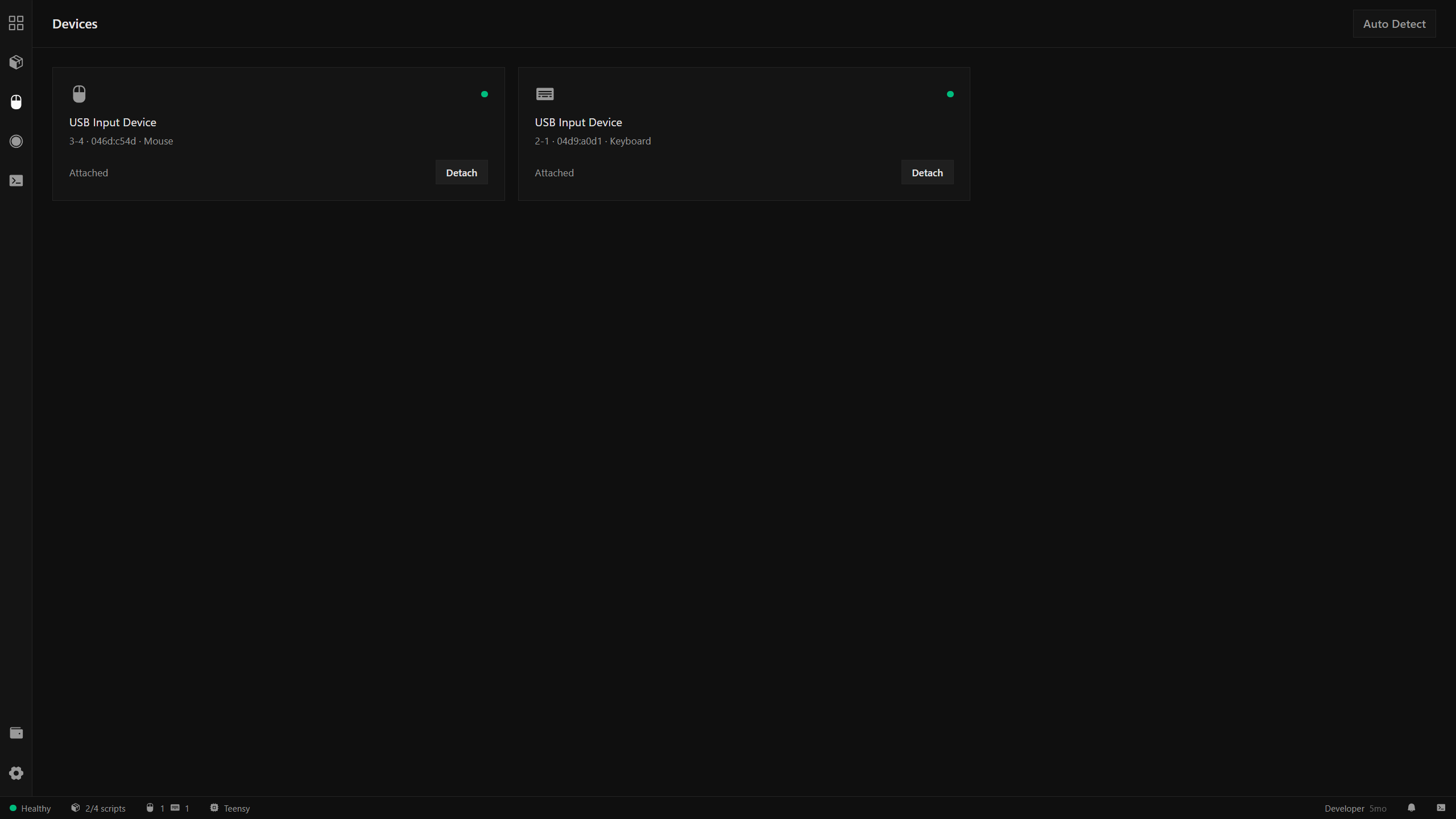 Devices view with a mouse and keyboard both showing as Attached