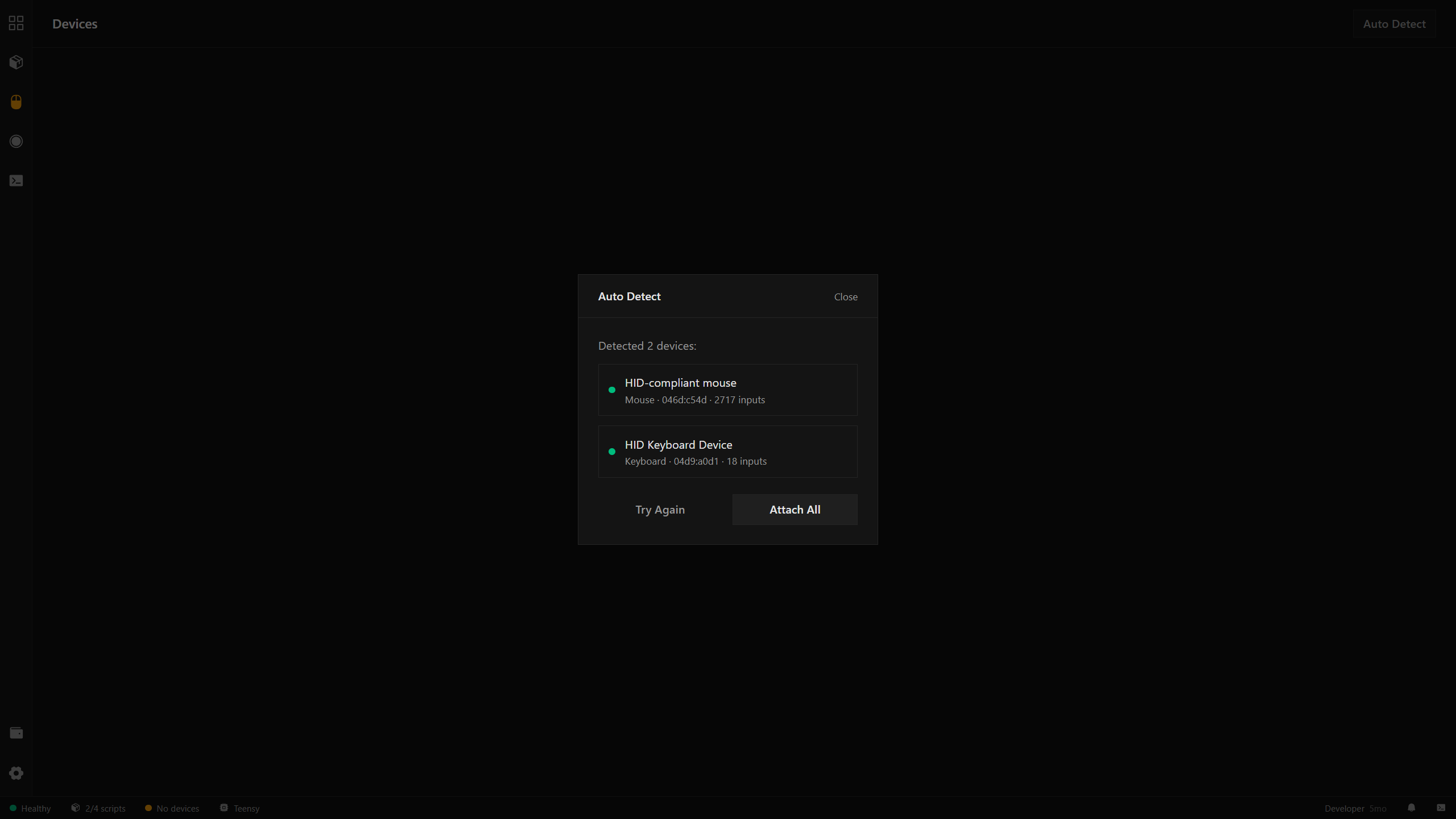 Auto Detect results showing an HID-compliant mouse and HID Keyboard Device with an Attach All button
